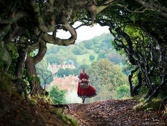 Into The Woods HD Wallpaper IHD