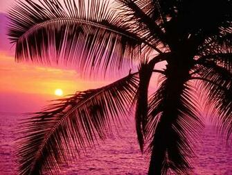 Background Girly HD Desktop Wallpaper