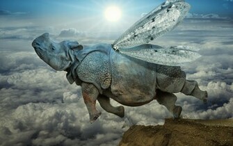 Flying Rhino HD Wallpaper