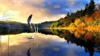 HD Fly Fishing Wallpaper Image