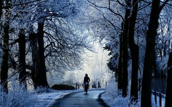 Winter Road Scene Mac Wallpaper