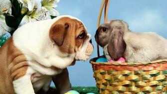 Source Url A Rabbit And Puppy Engaged In Game
