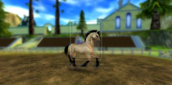 Star Stable Online By Anaatsyadok