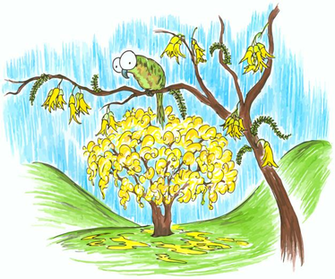 Screen Background A Kakapo In Kowhai Tree Bluebison Net