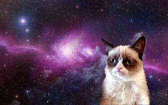 Grumpy Cat In Space HD Wallpaper For Desktop