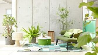 Indoor Plants Low Maintenance Houseplants Perfect For Indian Homes