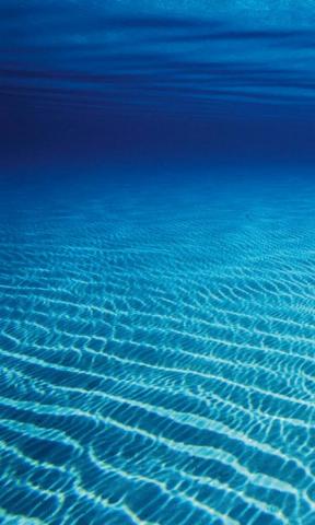 Ocean Floor Lumia Wallpaper
