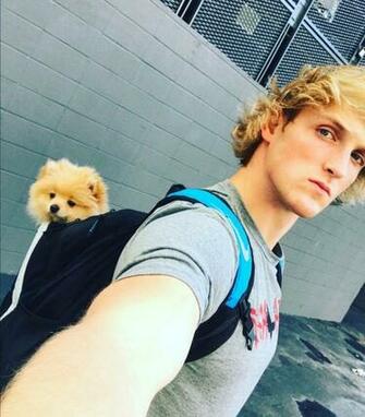 The Best Logan Paul Ideas