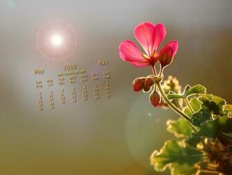 Wallpaper May Calendar Desktop Background