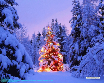 Christmas Screensavers