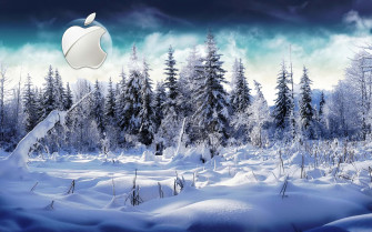 Winter Wallpaper For Mac