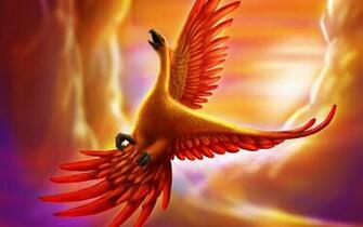 Phoenix Bird Wallpaper