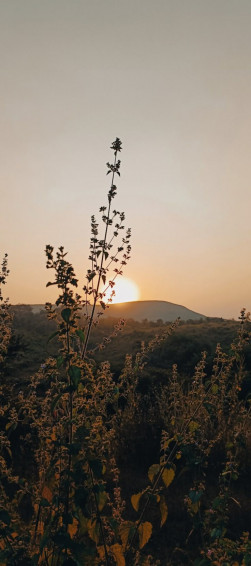 Nature Aesthetics Wallpaper