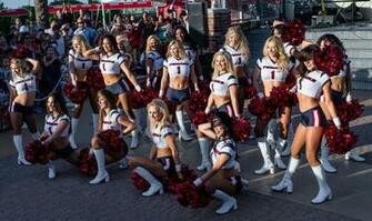 Nfl Wildcard Cincinnati Bengals Houston Failxans Sporting Events