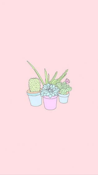 Succulent iPhone Background Wallpaper