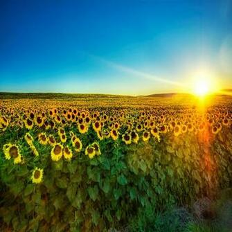 Pcmovies HD Superb Nature Wallpaper