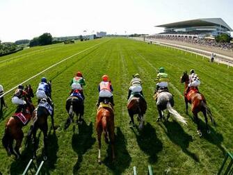 Horse Racing Arlingtonturf Wallpaper
