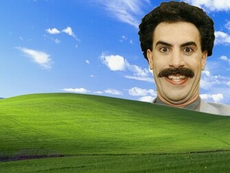 Wallpaper Hilarious Share This