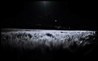 Solitary Wheat Field Gotham HD Wallpaper Hot
