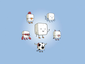 Tofu Food S Master Of Disguise Cute Wallpaper Vegetarian