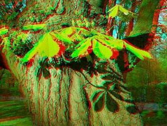 3d Anaglyph Wallpaper