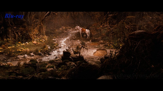 The Neverending Story Wallpaper Aka