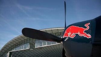 The World Of Flying Bulls