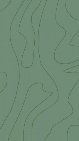 Fj Francesjaro iPhone Wallpaper Green Sage