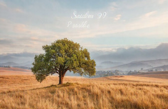 Psalm Wallpaper