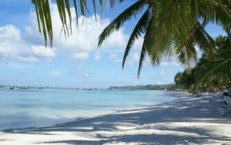 Tropical Beach Wallpaper Poster Desktop