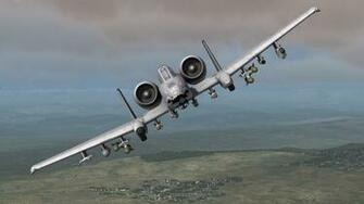 Warthog Wallpaper HD On Picsfair