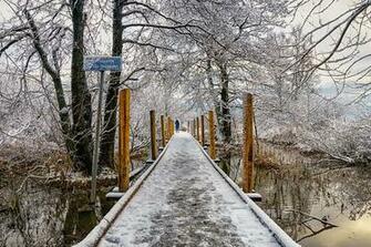 HD Wallpaper Finland Helsinki Path Patway Swamp Nordic Bluw