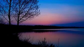Lakeside Tree At Dusk Wallpaper