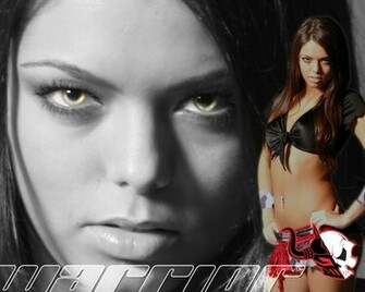 Mma Computer Wallpaper Desktop Background Id