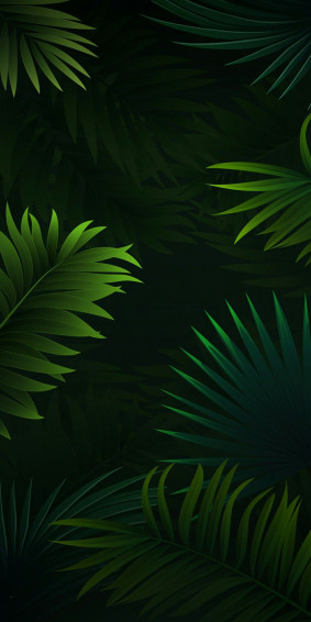 802a5eca3c8cbe8138f68f0405adccb1 Wallpaper