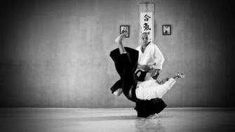 HD Aikido Wallpaper Net