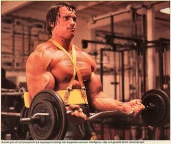 Arnold Schwarzenegger Bodybuilding Wallpaper