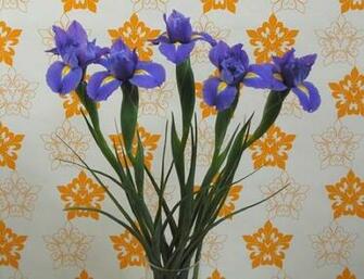 Wallpaper Basics Bob Vila