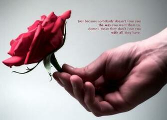 Best Love Quotes Wallpaper HD
