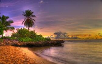 Tropical Island Wallpaper