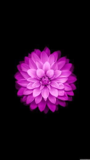 Samsung Galaxy S6 Edge HD Wallpaper DezignHD