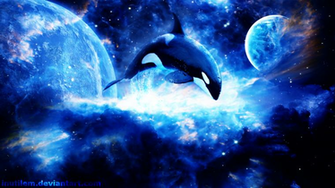 Photos Killer Whales HD Wallpaper Whale