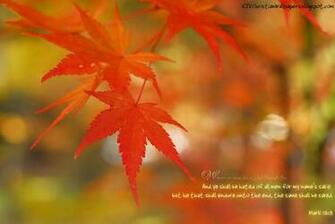 King James Kjb Versed Christian Wallpaper May