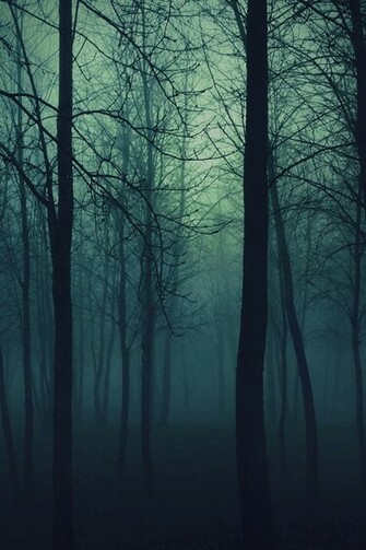 Dark Forest iPhone 4s Wallpaper iPad