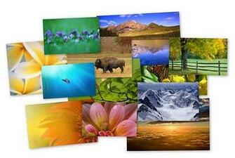 Windows Beta Wallpaper Pack Via