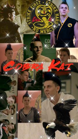 Hawk Eli Cobra Kai Wallpaper Karate Kid