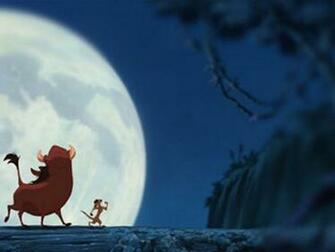 Timon Wallpaper