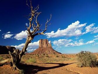 Per Visualizzare Lo Sfondo Di Deserto Americano In Dimensioni Intere