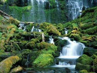 Waterfall Wallpaper In Grass