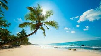 Caribbean Beach HD Wallpaper IHD